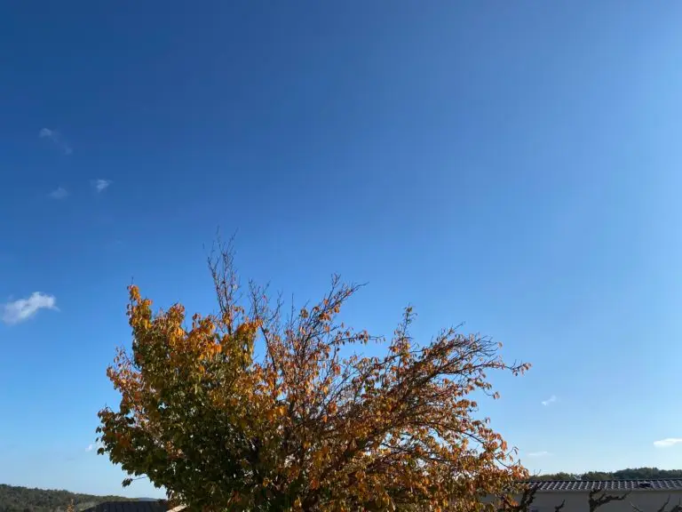 Beau temps et douceur règnent cet après-midi dans l’Hérault et le Gard