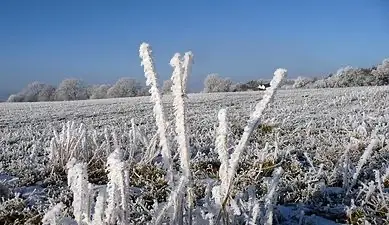 Gelées blanches ce lundi matin : jusqu’à -5°C dans l’Hérault et le Gard