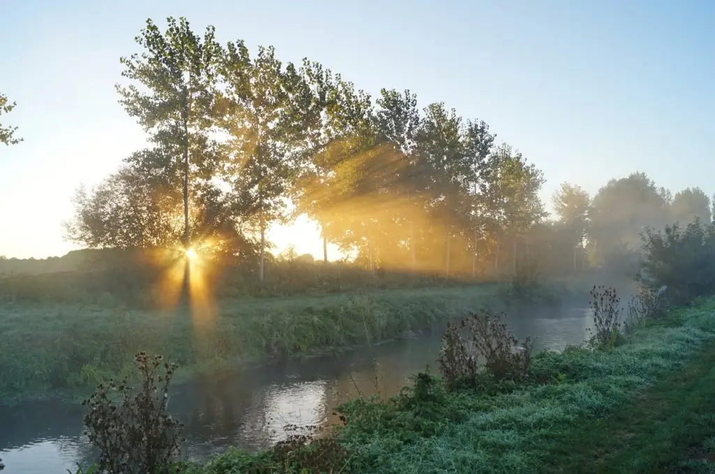 Ce jeudi matin : encore de petites gelées dans l’Hérault et le Gard