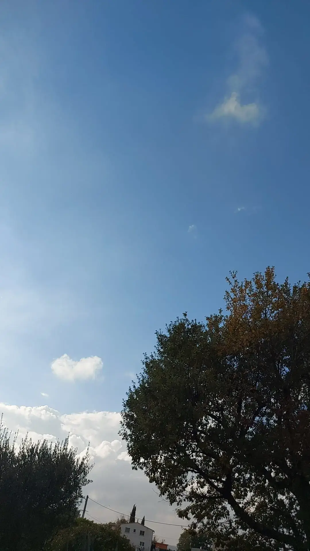 Cruviers-Lascours : de beaux rayons de soleil en ce début d’après-midi