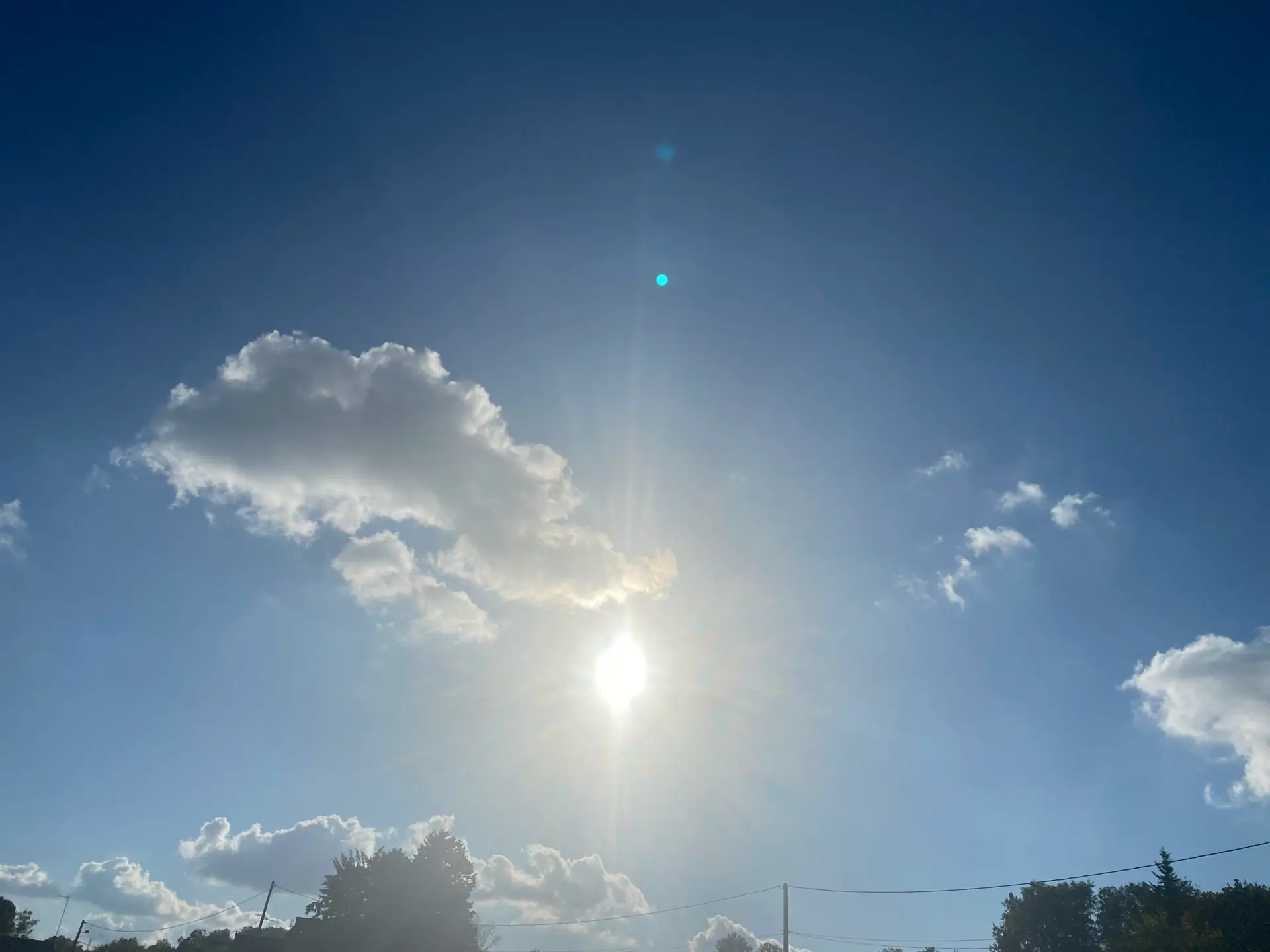 Météo : encore une douceur remarquable en cette fin novembre !