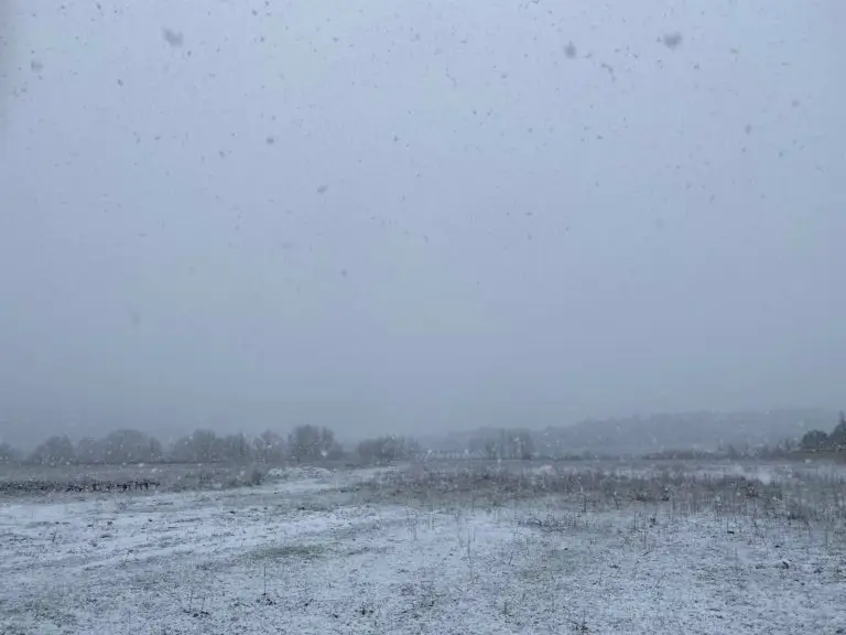 Neige : sera-t-elle présente ce week-end ?