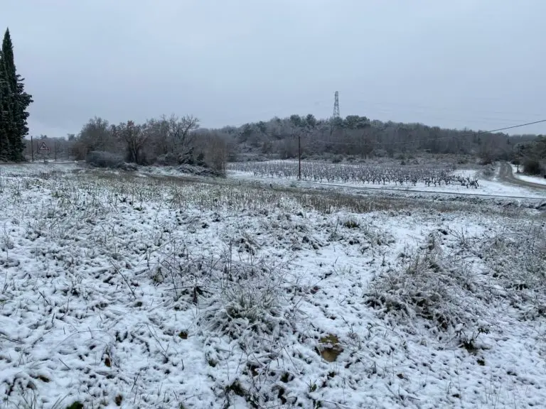 Ce soir : nouvelles chutes de neige en plaine ?