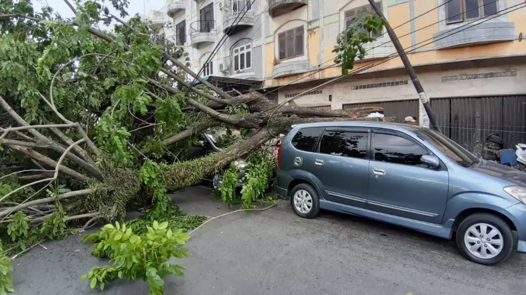 Météo : une tempête va frapper l’Occitanie jeudi, rafales jusqu’à 160 km/h !