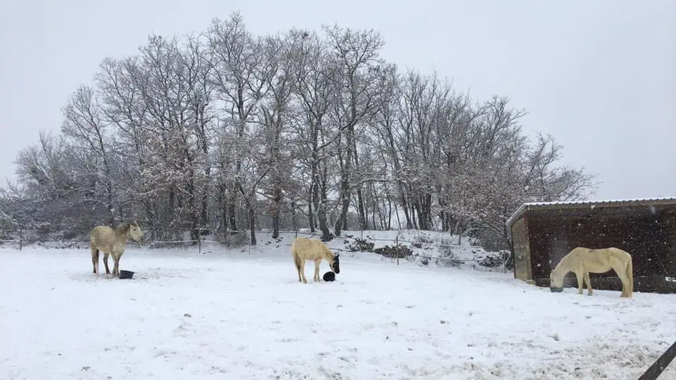Météo : l’hiver et le froid sont-ils vraiment derrière nous ?