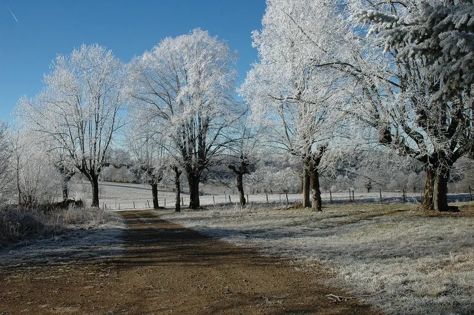 Météo : retour des gelées jusqu’en plaine ces prochains jours en Occitanie