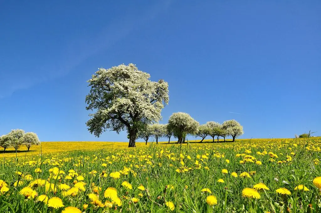 Printemps météo