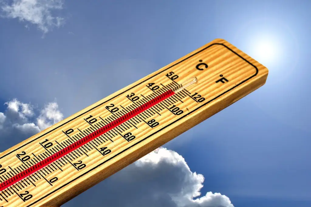 chaleur météo