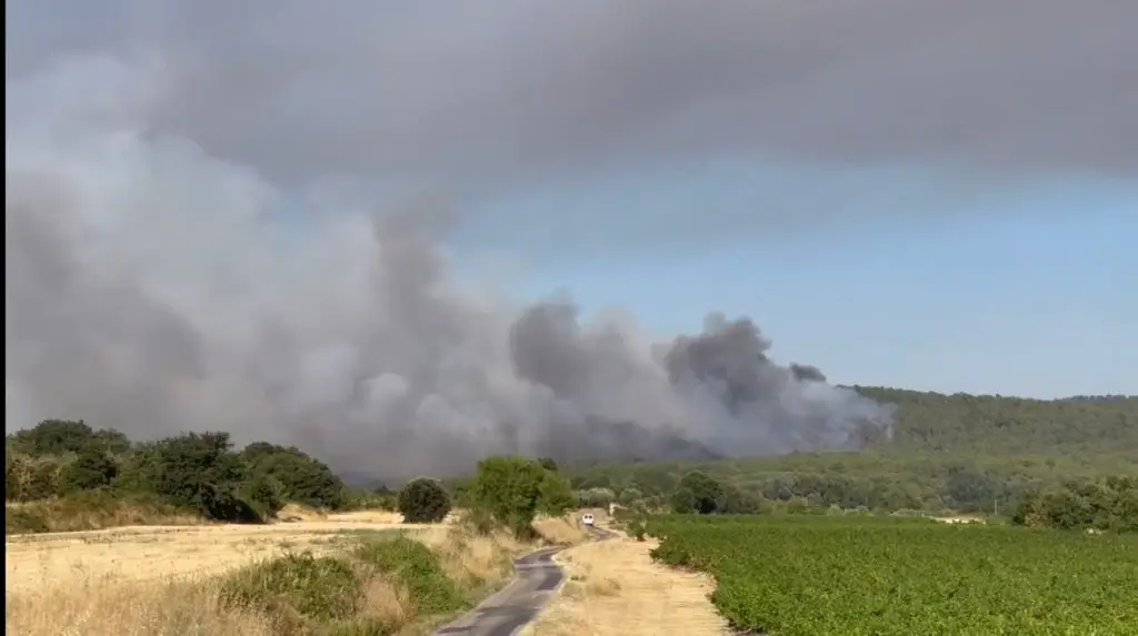 Gard : un violent feu de forêt détruit un centre équestre près de Vallabrix