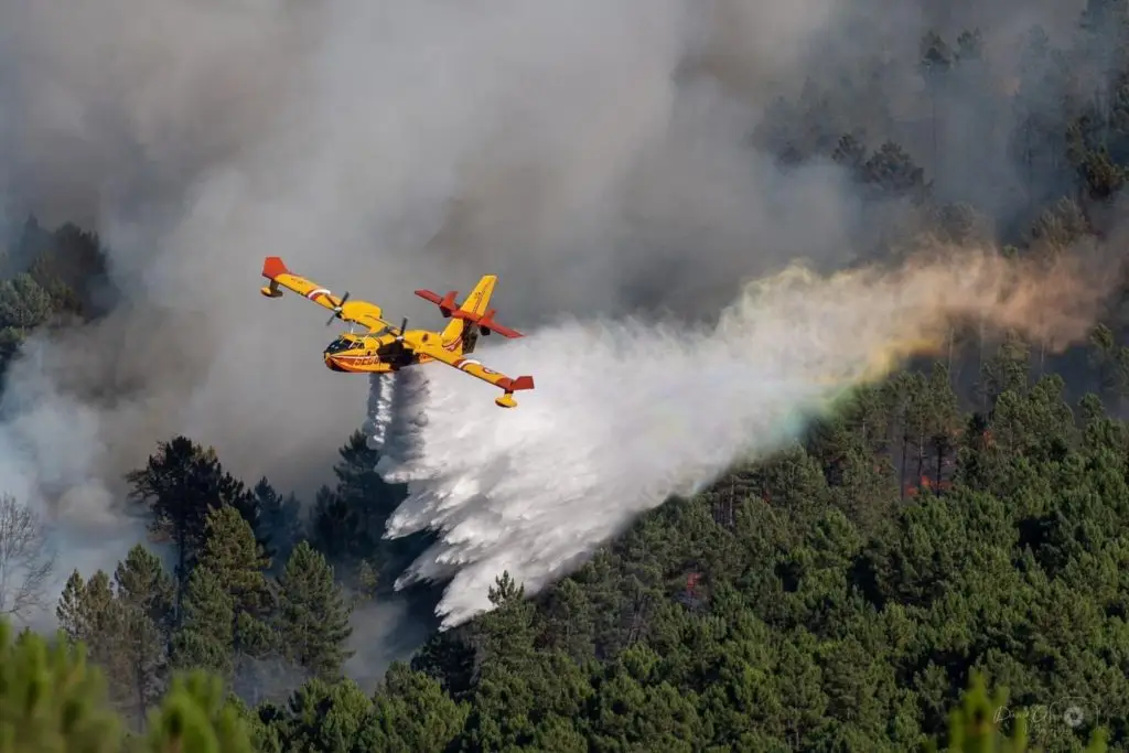 Feux de forêt : plus de 1000 hectares détruits depuis hier dans le Gard