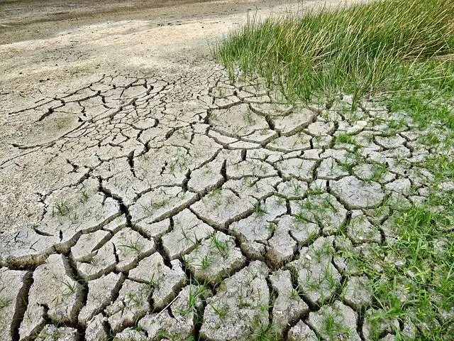 Sécheresse dans le Gard : une situation exceptionnelle qui persiste
