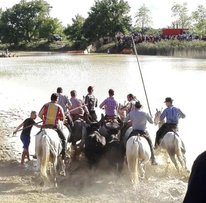 Gard : grande fête des vendanges ce week-end à Saint-Maurice-de-Cazevieille
