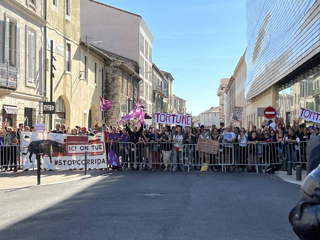 Gard. Nîmes : « ici on tue, stop corrida ! » Des centaines de manifestants mobilisés ce samedi