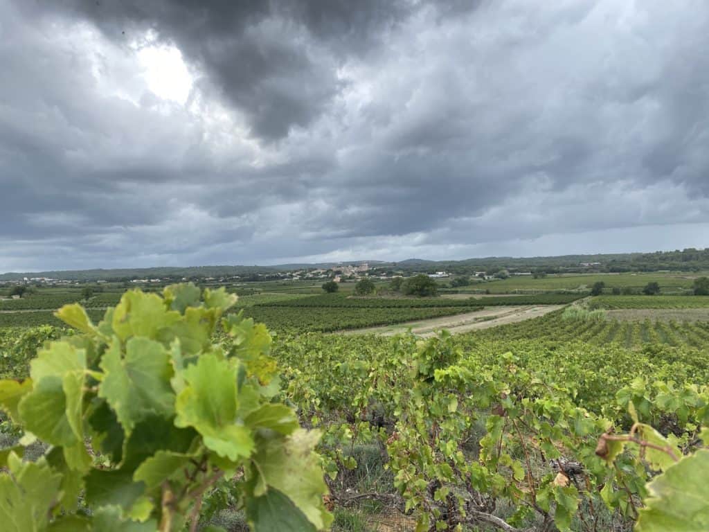 En direct. Vigilance Orange : suivez les dernières informations météo en Occitanie