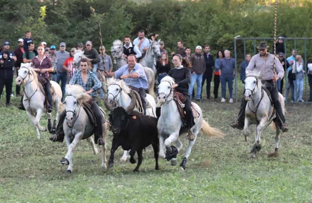 Hérault : Daniel Guichard et Ricoune à l’affiche de la fête d’hiver de Mudaison du 18 au 20 novembre