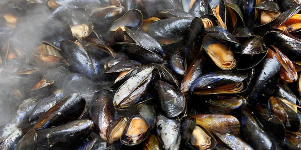 Consommation : restriction de récolte, de commercialisation et de consommation des moules et palourdes de l’étang de Thau