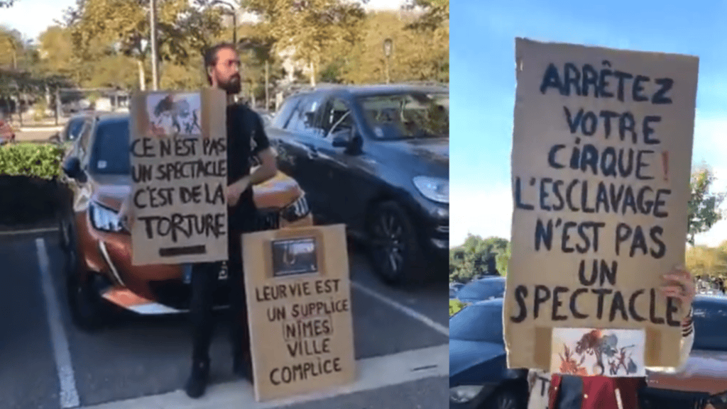 Nîmes : vive altercation entre des militants antispécistes et le cirque de Venise ce dimanche