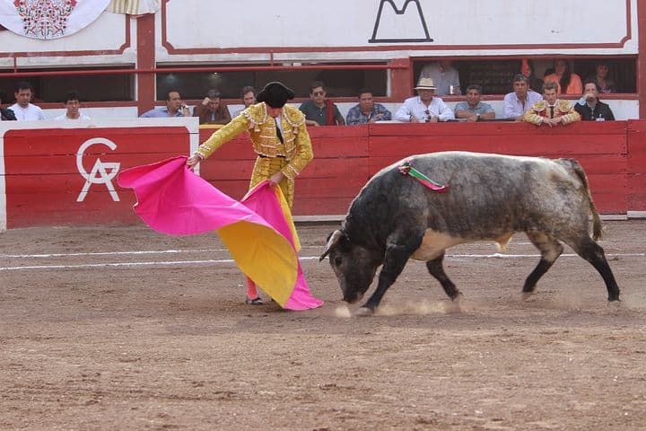 Corrida : le projet de loi pour abolir la « tradition » débattu cette semaine à l’Assemblée Nationale