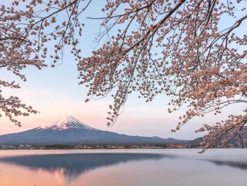 Occitanie : la semaine du Japon s’installe du 25 novembre au 2 décembre