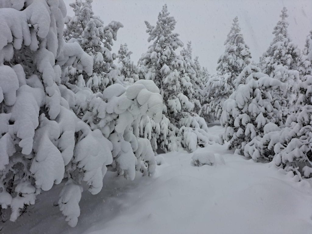 Mont-Lozère : les paysages sous plus de 40 cm de neige ce dimanche