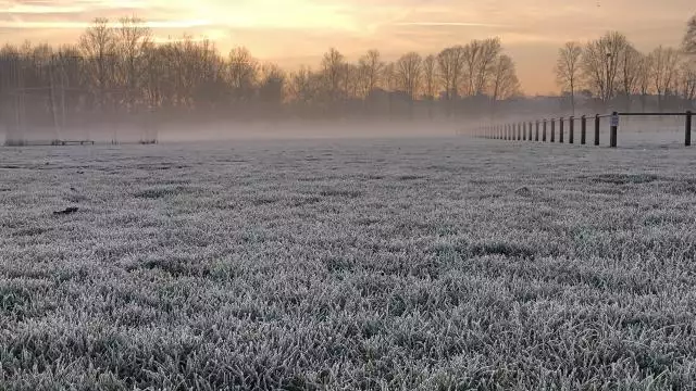 Fortes gelées : jusqu’à -7°C  relevés dans le Gard et l’Hérault