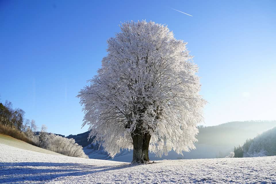 Météo : grand froid et vents forts ces prochains jours en Occitanie
