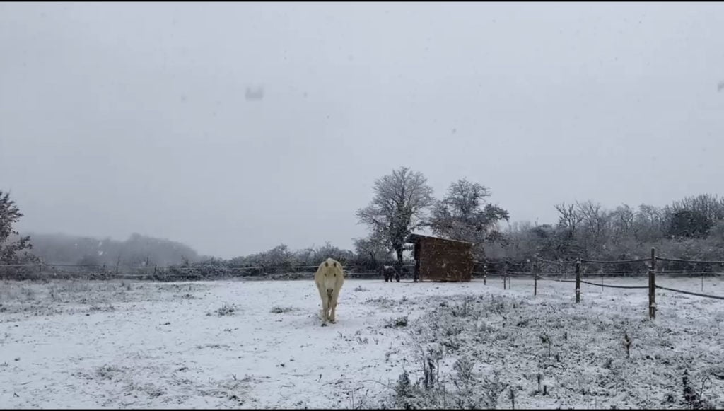 Météo : le Gard était sous la neige il y a deux ans jour pour jour !
