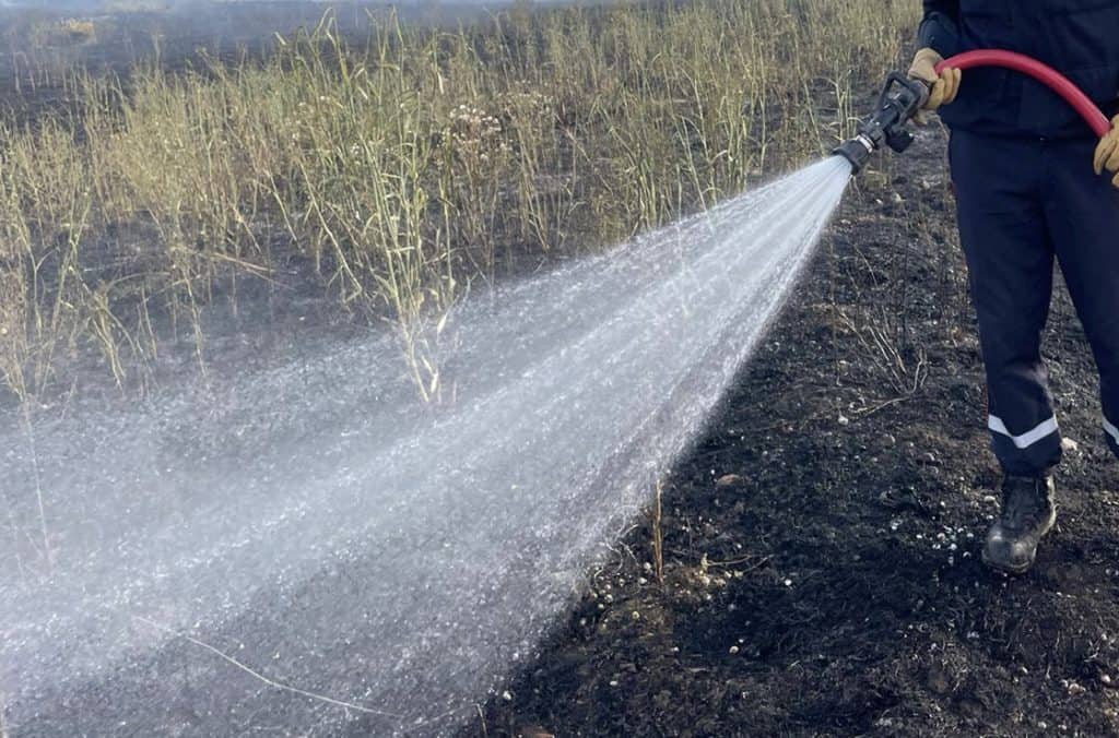 Nîmes : un feu de détritus se propage à la végétation occasionnant des perturbations sur l’A9