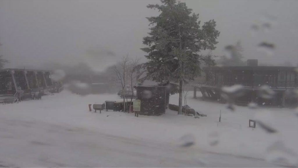 Gard : la neige tombe à gros flocons au Mont-Aigoual, déjà plusieurs centimètres