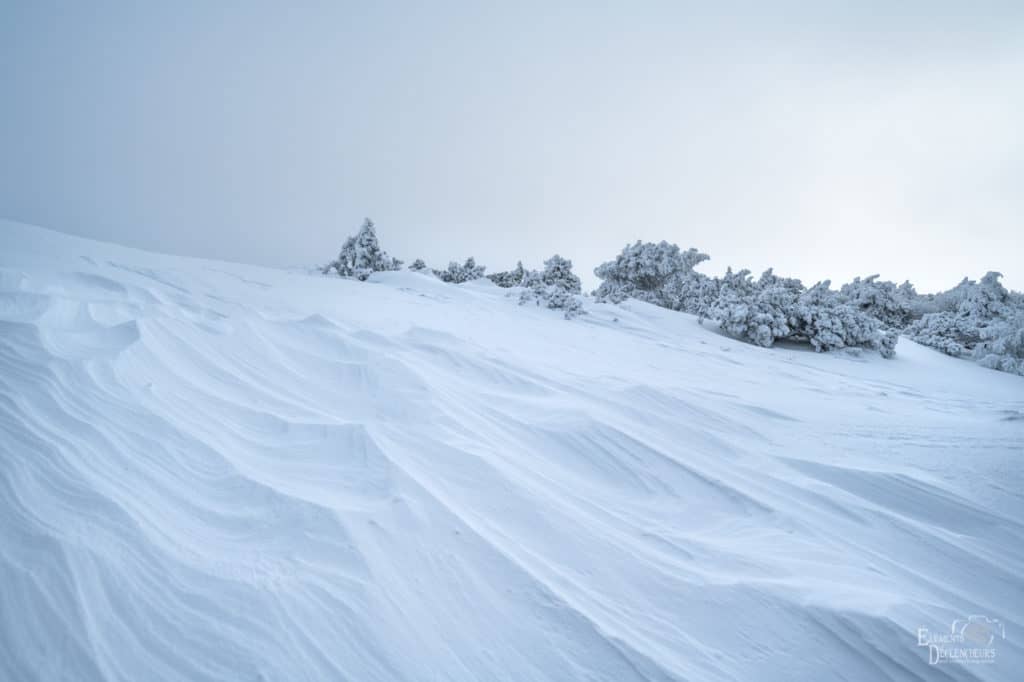 Gard : les photos du Mont-Aigoual sous la tempête et la neige