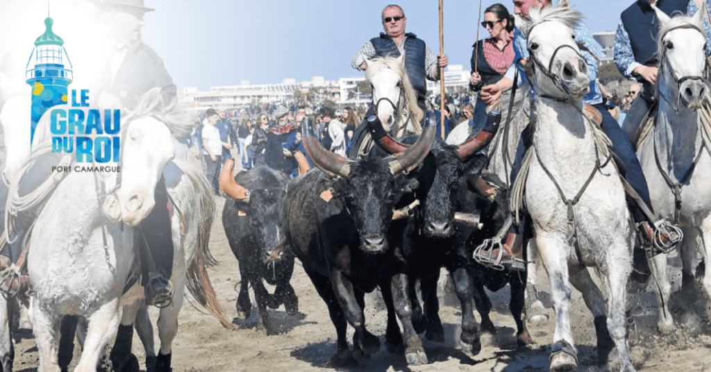 Grau-du-Roi : l’abrivado des plages a lieu ce samedi !