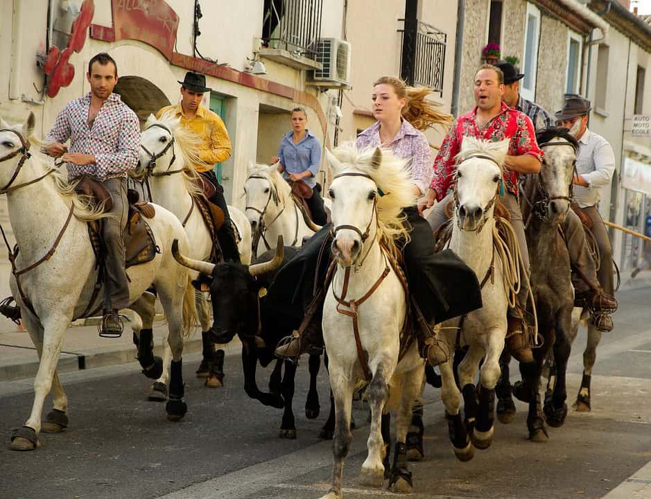 Gard : le 25 ème Festival du film taurin et camarguais aura lieu du 24 au 26 février