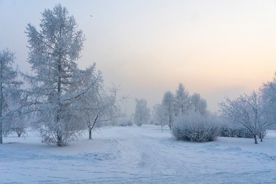 gelées météo