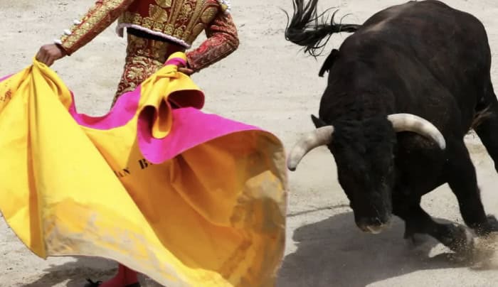 Corrida : retour de la mise à mort dans les arènes de Pérols