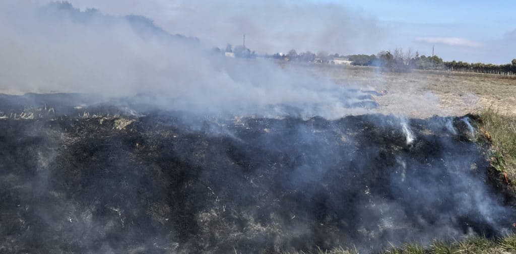 Cévennes : les pompiers du Gard et de l’Hérault interviennent pour un écobuage