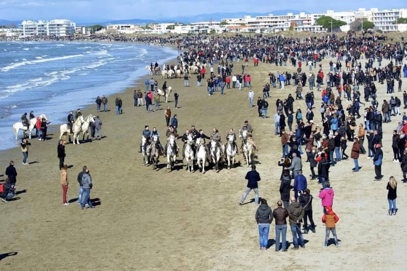 Gard : la célèbre Abrivado des plages au Grau-du-Roi, c’est ce samedi 4 mars !