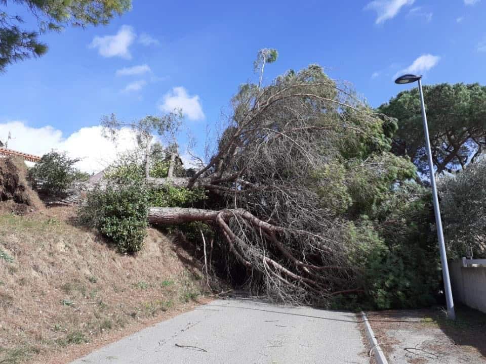 Vent violent : de nombreux dégâts et foyers privés d’électricité en région