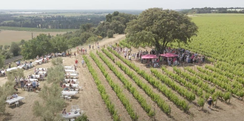Costières de Nîmes : fort de son succès, la 13ème édition des Vignes Toquées propose 400 places supplémentaires