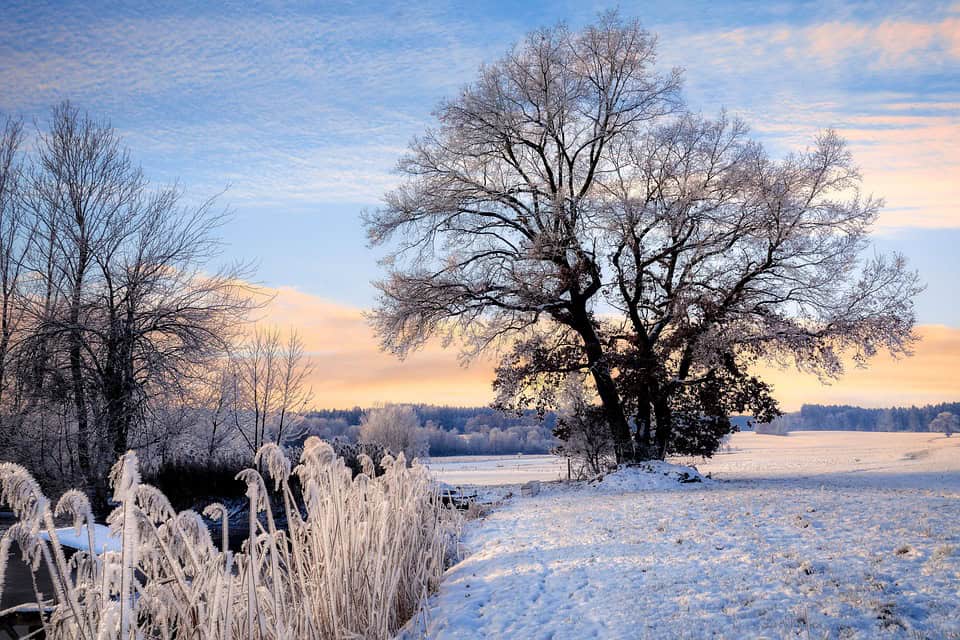 Météo : retour des averses de neige ce week-end sur la région !