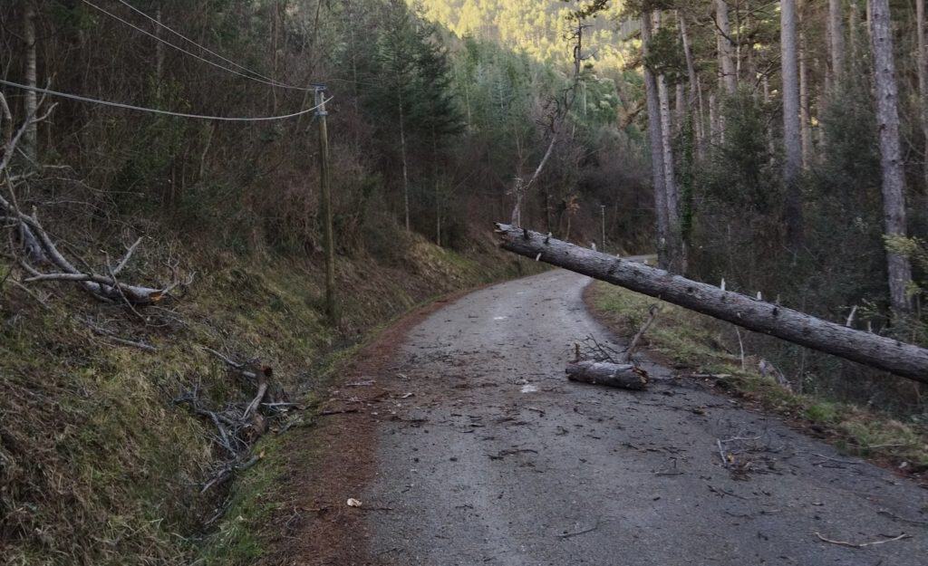 Météo : puissantes rafales de vent, jusqu’à 168 km/h en région !