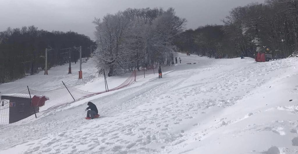 Loisirs : luge, ski, raquettes, la station Alti Aigoual vous attend