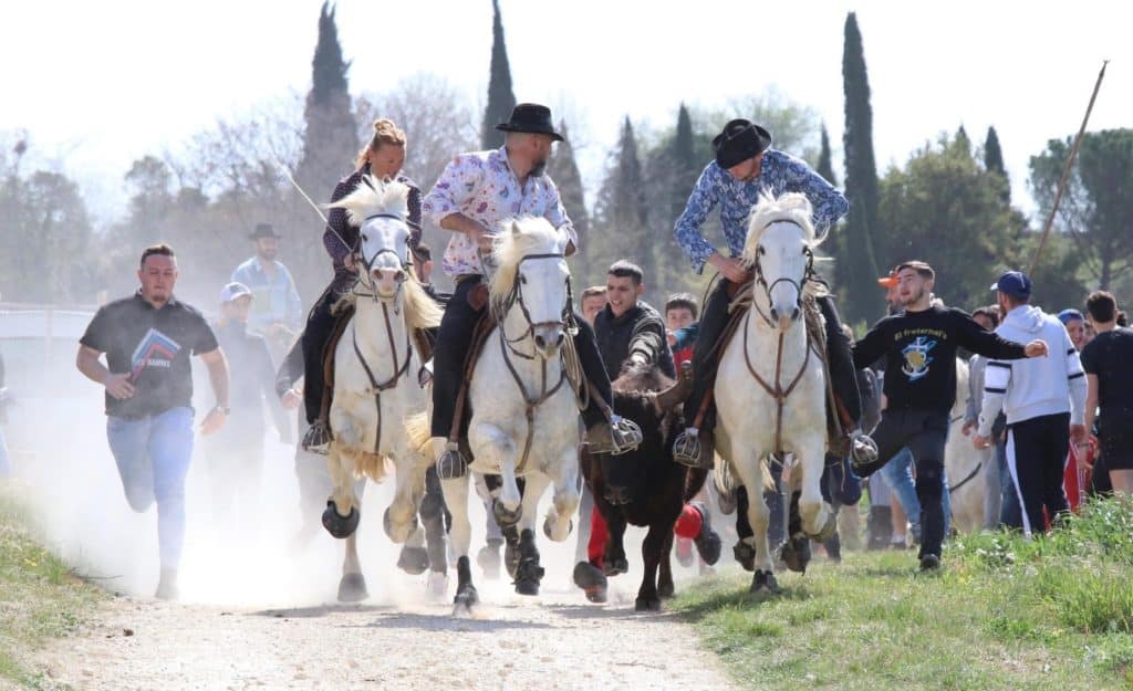 Gard : un week-end festif à Saint-Césaire-de-Gauzignan avec la fête votive