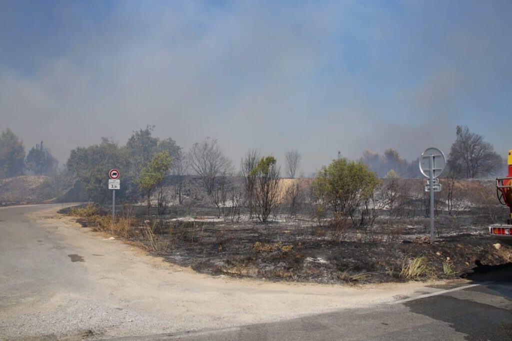 Camargue : un feu de végétation se déclare dans les marais de Gallician