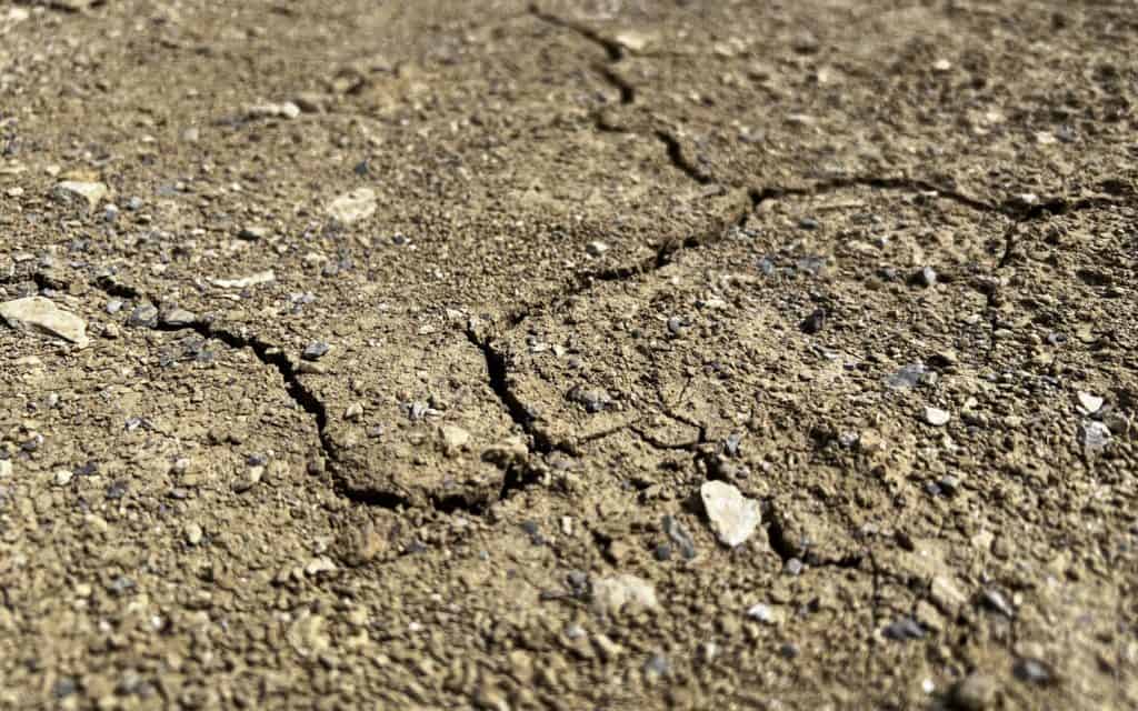 Sécheresse : la situation se dégrade encore et inquiète en Occitanie