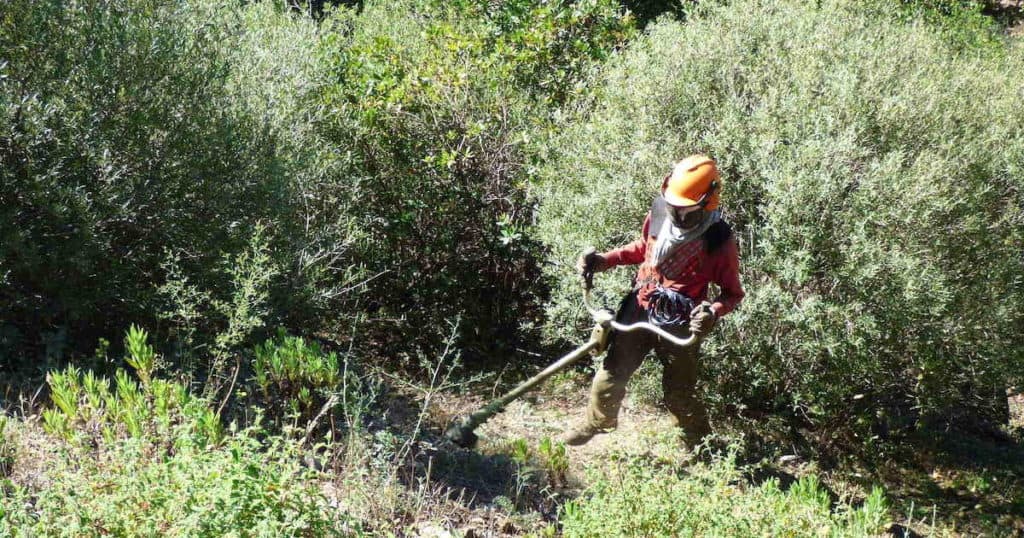 Prévention : débroussailler, une obligation pour lutter contre les feux de forêt