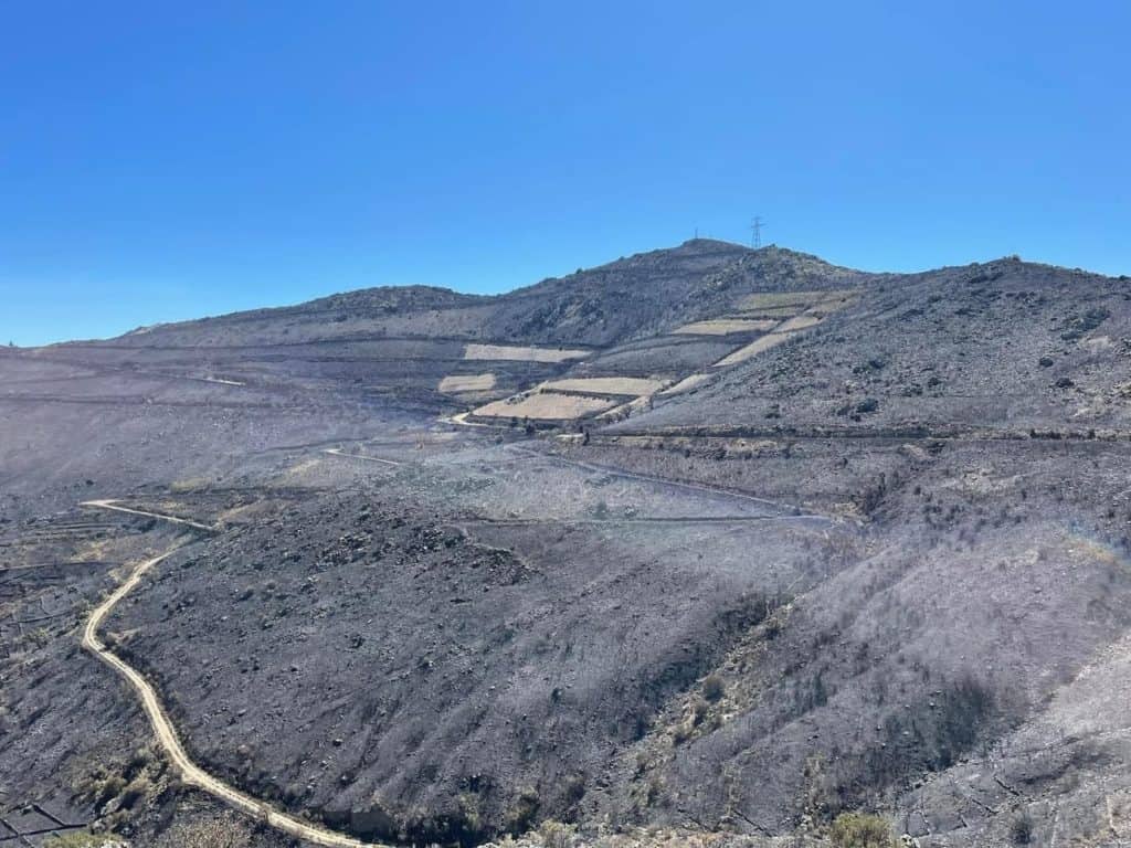 Incendie dans les Pyrénées-Orientales : le feu maîtrisé après avoir ravagé plus de 940 hectares de végétation