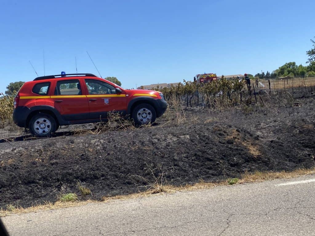 Cévennes : poussé par un vent fort, un feu détruit un hectare de végétation