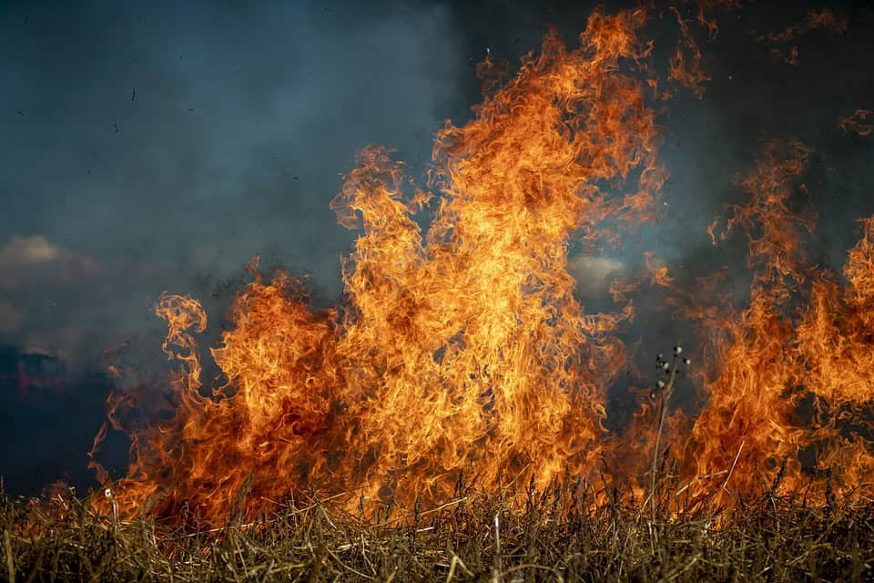 Hérault : le Préfet interdit tout emploi du feu pour au moins un mois