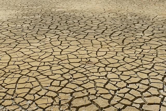 Gard. Sécheresse : situation de crise étendue dans le département