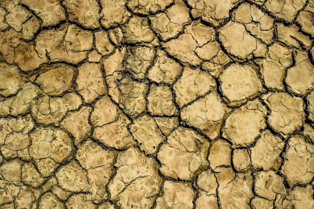 Hérault : la sécheresse s’aggrave, nouvelles restrictions de l’usage de l’eau